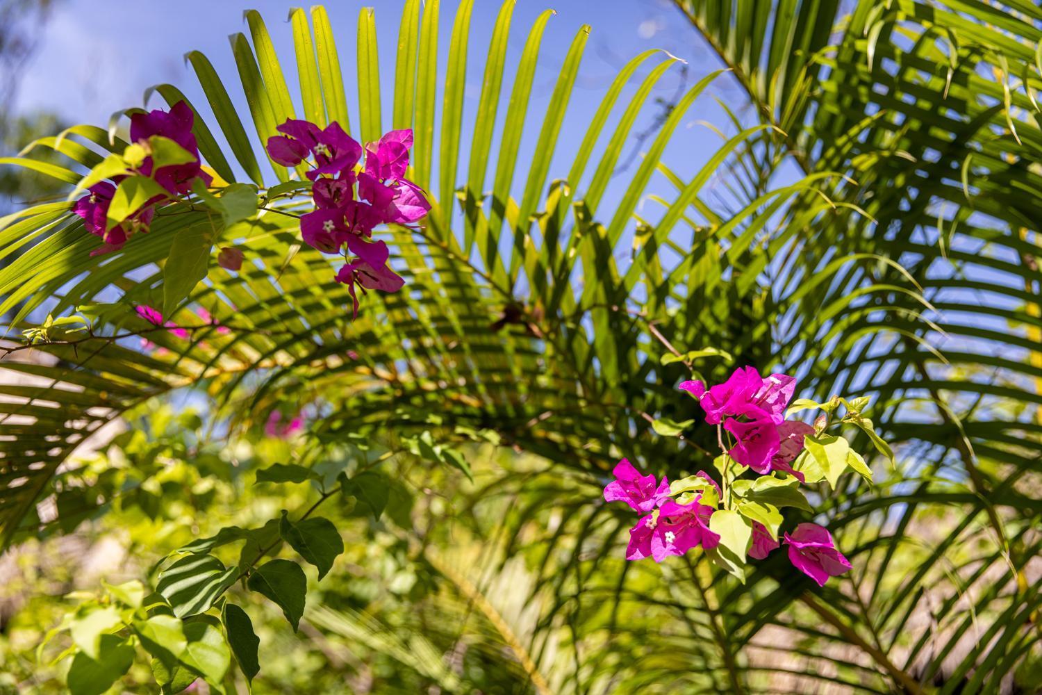 Kampot Cabana Екстериор снимка